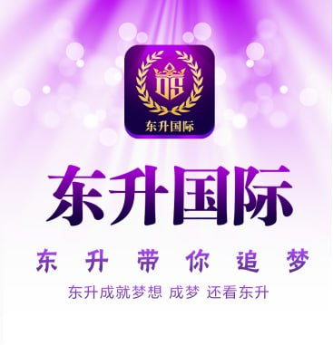 东升国际