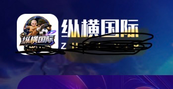 纵横国际